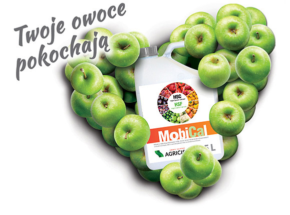 crashing process Mobical